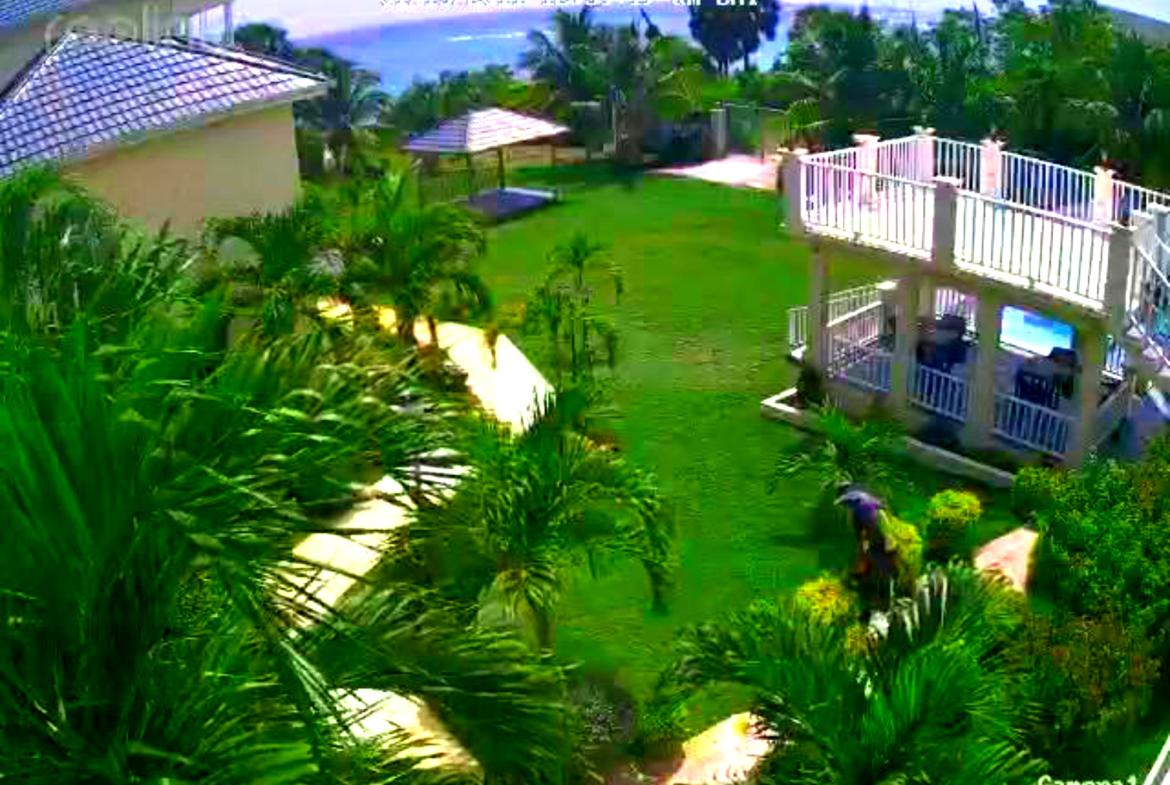 Third image of 2- Sunset Drive in White House WD, Westmoreland, Jamaica - property is For Rent