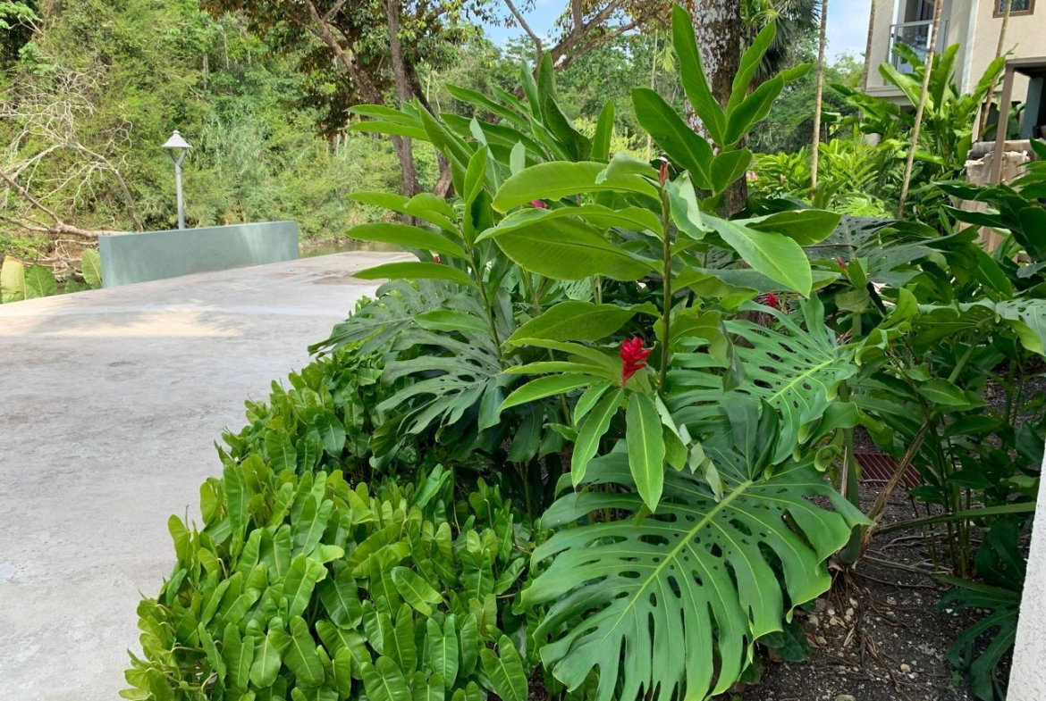 Fifteenth image of 8-block a Oracabessa, St. Mary in Oracabessa, St. Mary, Jamaica - property is For Sale
