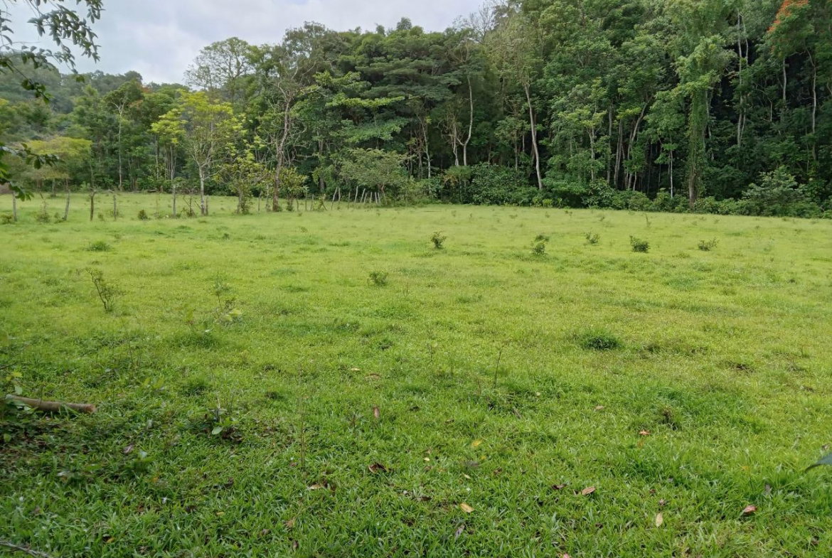 Second image of Big Bottom Farm in Cambridge, St. James, Jamaica - property is For Sale