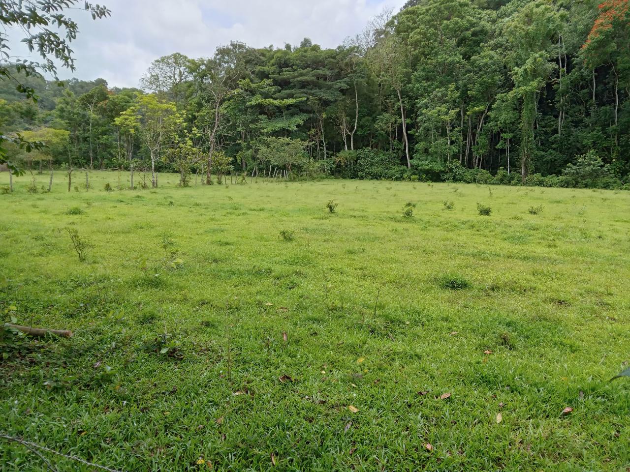Second image of Big Bottom Farm in Cambridge, St. James, Jamaica - property is For Sale