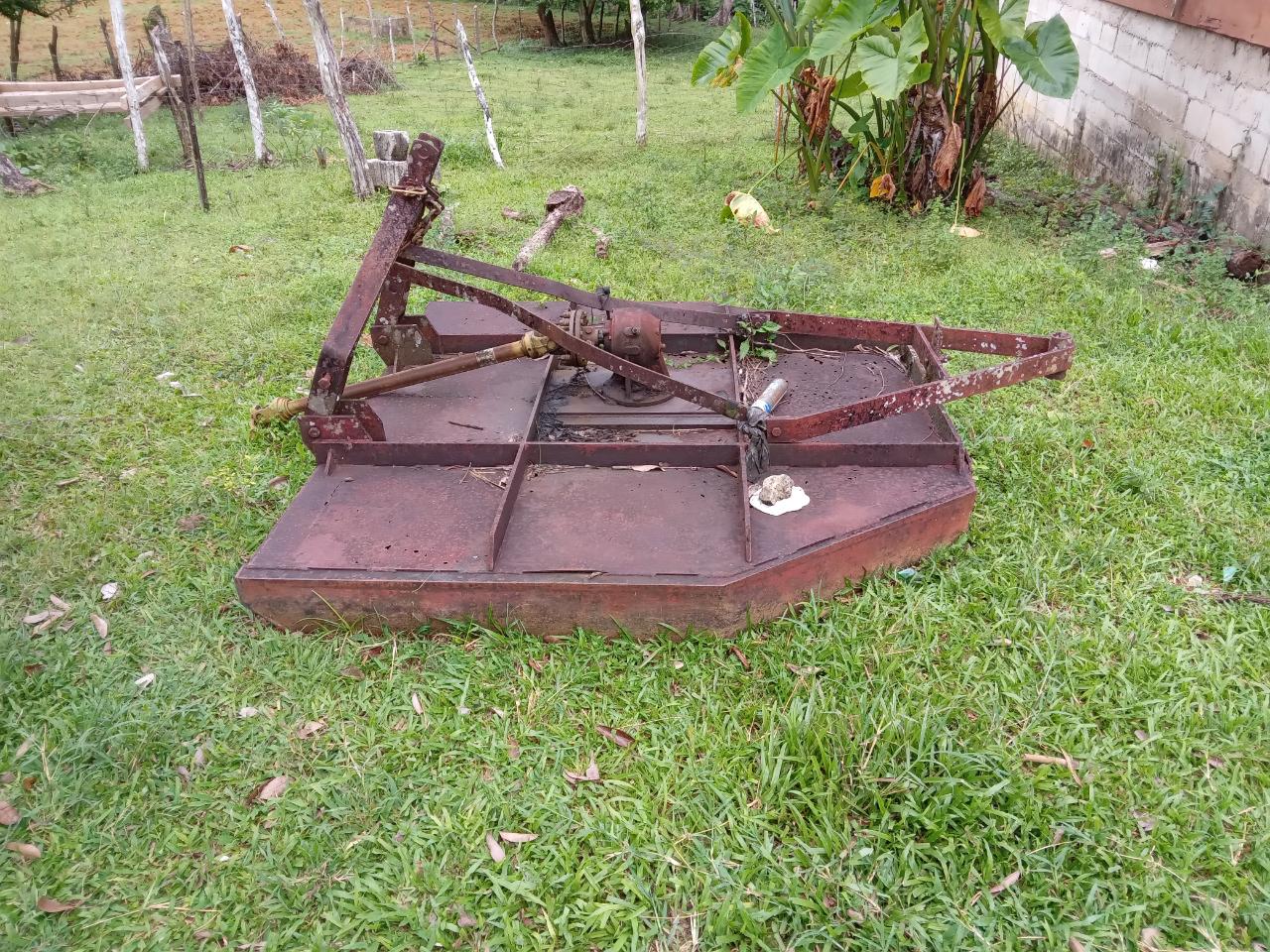 Ninth image of Big Bottom Farm in Cambridge, St. James, Jamaica - property is For Sale