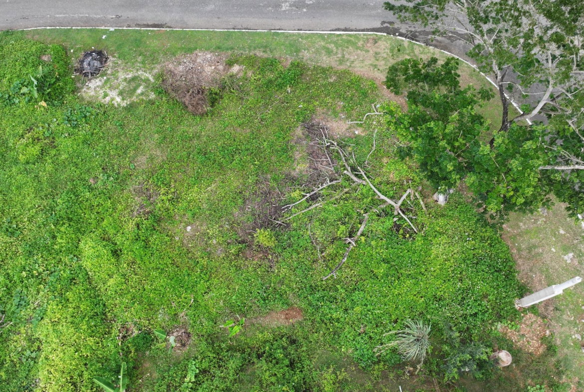 Third image of Lot # 33 Veronica Close r in Linstead, St. Catherine, Jamaica - property is For Sale