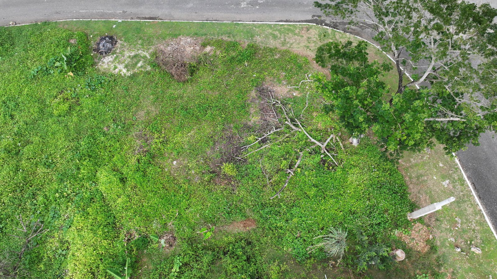 Build-Ready-Corner-Lot-for-Sale-in-Rose-Hall-Linstead-Lot-33-Veronica-Close-St.-Catherine Third image of Lot # 33 Veronica Close r in Linstead, St. Catherine, Jamaica - property is For Sale
