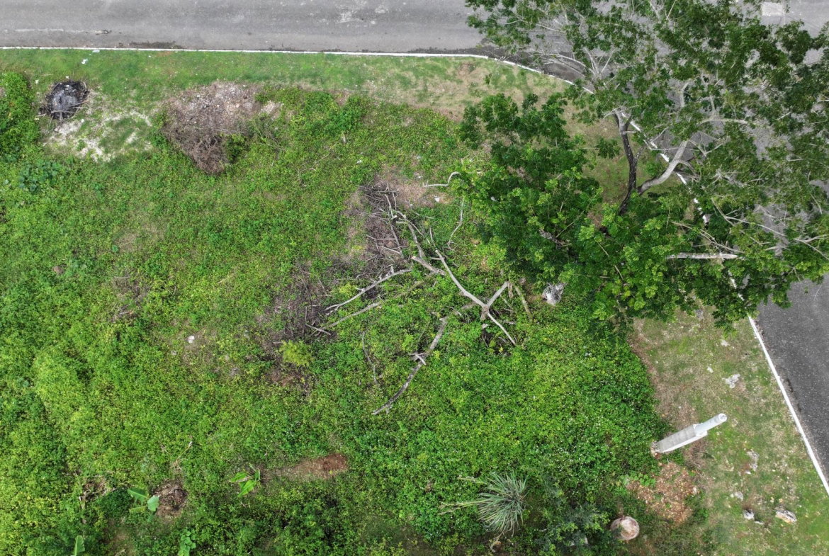 Seventh image of Lot # 33 Veronica Close r in Linstead, St. Catherine, Jamaica - property is For Sale