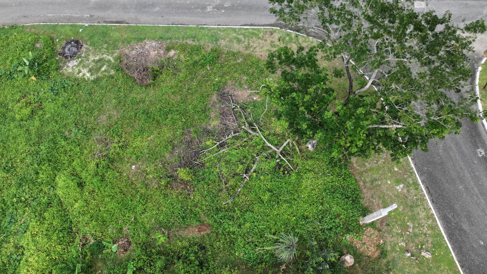 Build-Ready-Corner-Lot-for-Sale-in-Rose-Hall-Linstead-Lot-33-Veronica-Close-St.-Catherine Seventh image of Lot # 33 Veronica Close r in Linstead, St. Catherine, Jamaica - property is For Sale