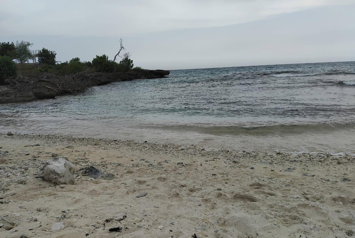 Eleventh image of Lot-107 South Sea Park in White House WD, Westmoreland, Jamaica - property is For Sale