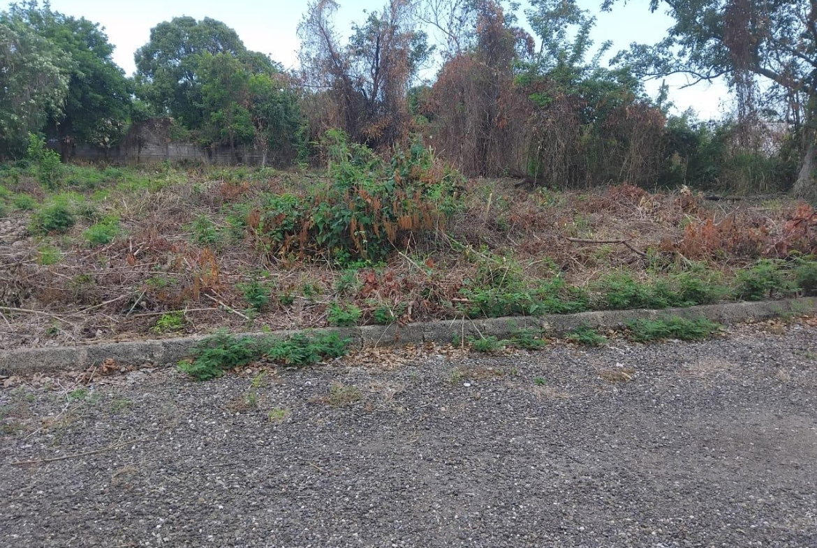 Fifth image of Lot-107 South Sea Park in White House WD, Westmoreland, Jamaica - property is For Sale