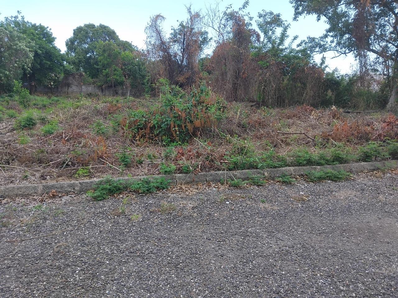 Fifth image of Lot-107 South Sea Park in White House WD, Westmoreland, Jamaica - property is For Sale