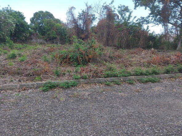 Fifth image of Lot-107 South Sea Park in White House WD, Westmoreland, Jamaica - property is For Sale