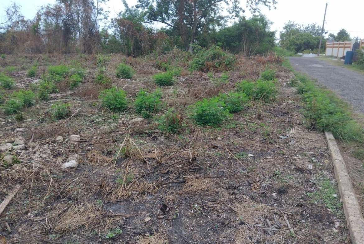 Sixth image of Lot-107 South Sea Park in White House WD, Westmoreland, Jamaica - property is For Sale