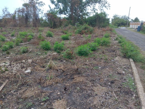 Sixth image of Lot-107 South Sea Park in White House WD, Westmoreland, Jamaica - property is For Sale