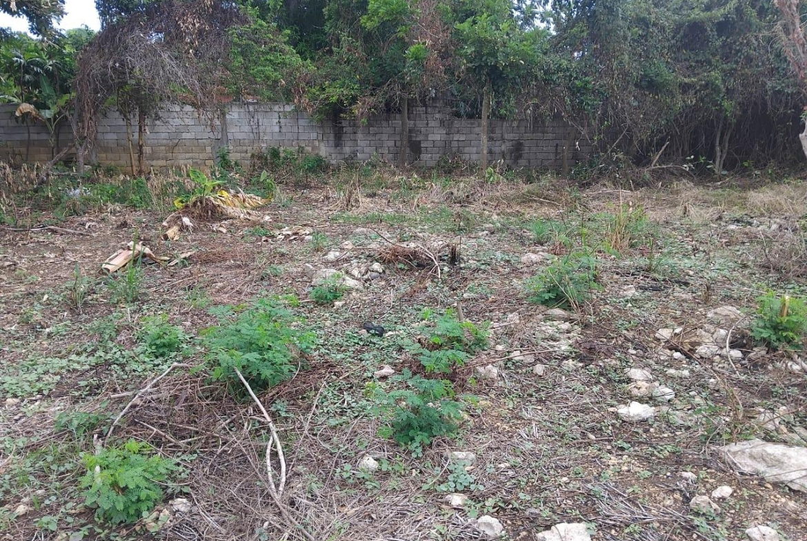 Seventh image of Lot-107 South Sea Park in White House WD, Westmoreland, Jamaica - property is For Sale