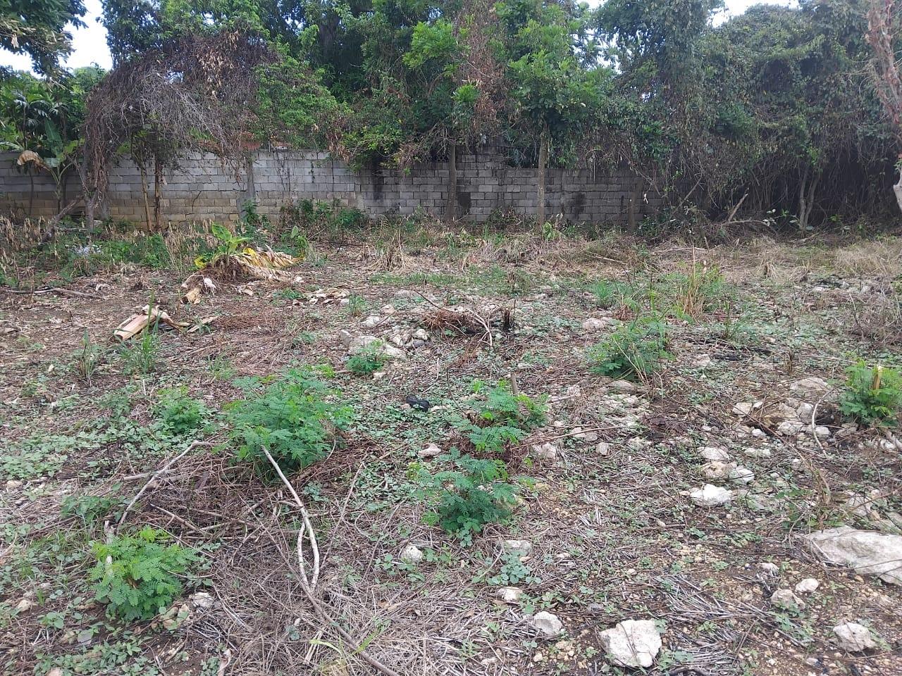 Seventh image of Lot-107 South Sea Park in White House WD, Westmoreland, Jamaica - property is For Sale