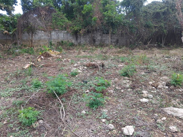 Seventh image of Lot-107 South Sea Park in White House WD, Westmoreland, Jamaica - property is For Sale