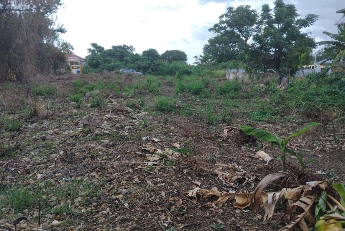 Eighth image of Lot-107 South Sea Park in White House WD, Westmoreland, Jamaica - property is For Sale
