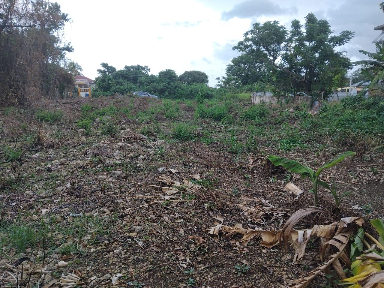 Eighth image of Lot-107 South Sea Park in White House WD, Westmoreland, Jamaica - property is For Sale