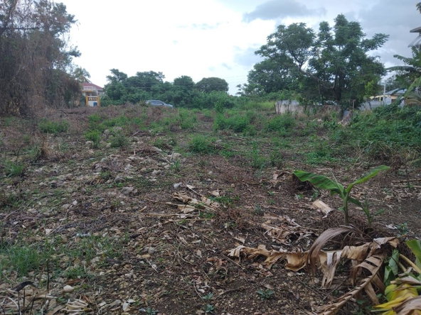 Eighth image of Lot-107 South Sea Park in White House WD, Westmoreland, Jamaica - property is For Sale
