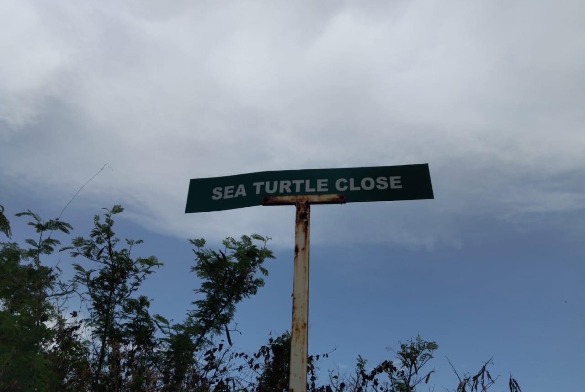 Ninth image of Lot-107 South Sea Park in White House WD, Westmoreland, Jamaica - property is For Sale