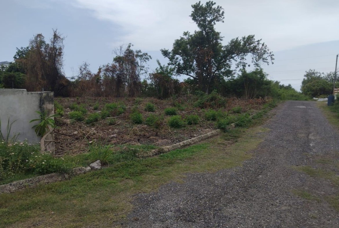Tenth image of Lot-107 South Sea Park in White House WD, Westmoreland, Jamaica - property is For Sale