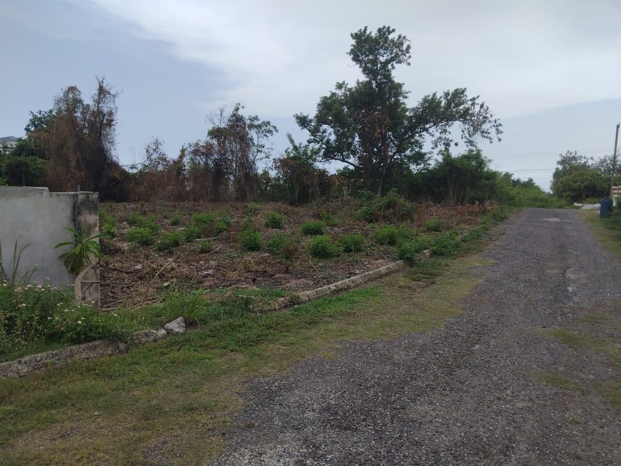 Tenth image of Lot-107 South Sea Park in White House WD, Westmoreland, Jamaica - property is For Sale