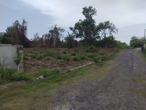 Tenth image of Lot-107 South Sea Park in White House WD, Westmoreland, Jamaica - property is For Sale