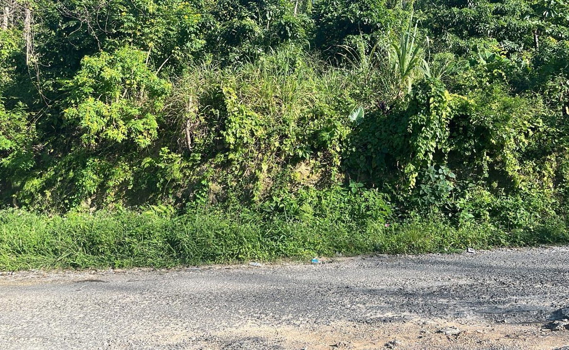 Fifth image of 424- Spring Valley Estate in Tower Isle, St. Mary, Jamaica - property is For Sale