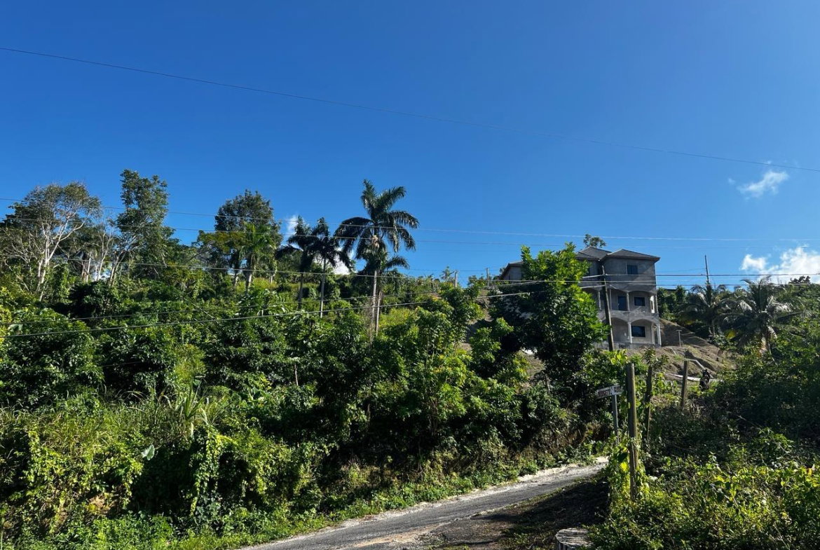 Seventh image of 424- Spring Valley Estate in Tower Isle, St. Mary, Jamaica - property is For Sale