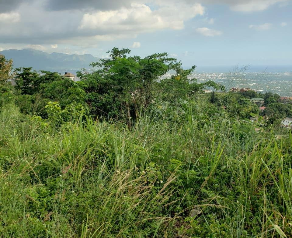 Second image of Opal Avenue in Red Hills, St. Andrew, Jamaica - property is For Sale