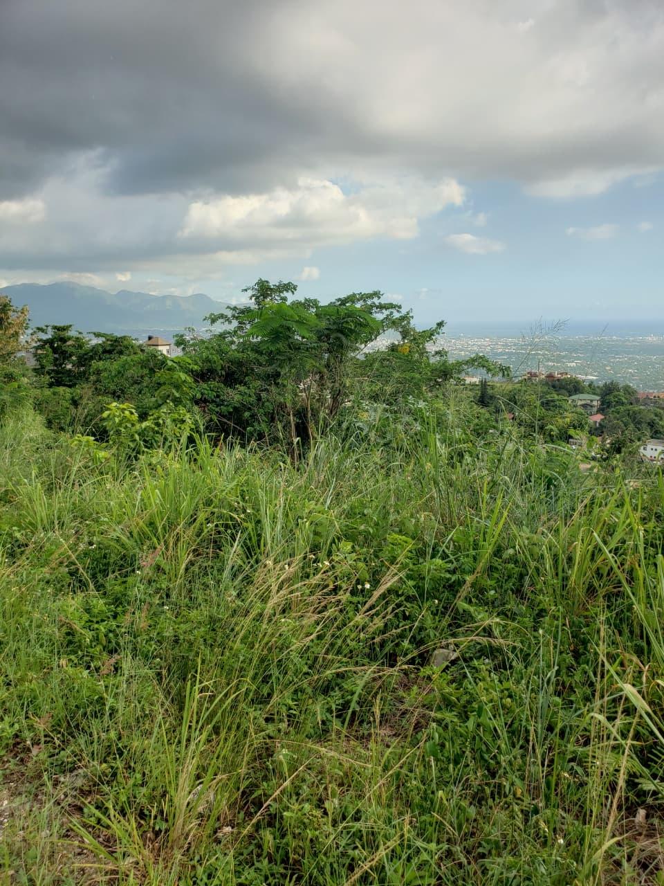 Build-Your-Dream-Home-on-32656-sq-ft-Lot-in-Golden-Acres-St.-Andrew-Harbour-and-Sea-Views Second image of Opal Avenue in Red Hills, St. Andrew, Jamaica - property is For Sale