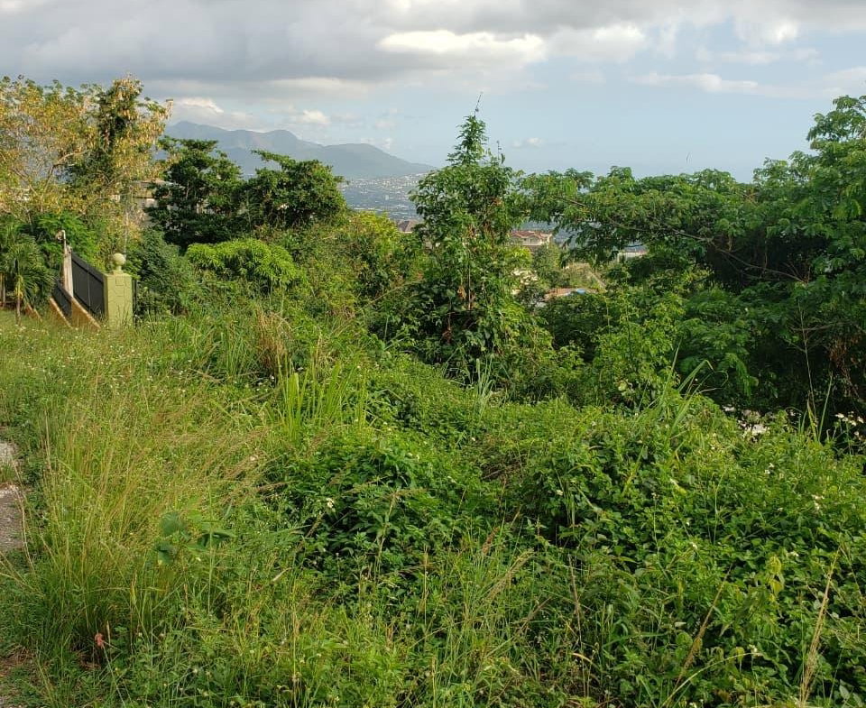 Third image of Opal Avenue in Red Hills, St. Andrew, Jamaica - property is For Sale