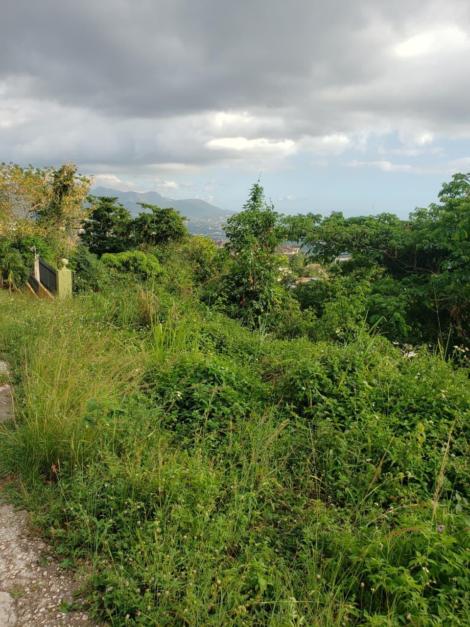 Build-Your-Dream-Home-on-32656-sq-ft-Lot-in-Golden-Acres-St.-Andrew-Harbour-and-Sea-Views Third image of Opal Avenue in Red Hills, St. Andrew, Jamaica - property is For Sale