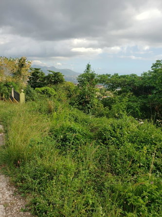 Third image of Opal Avenue in Red Hills, St. Andrew, Jamaica - property is For Sale
