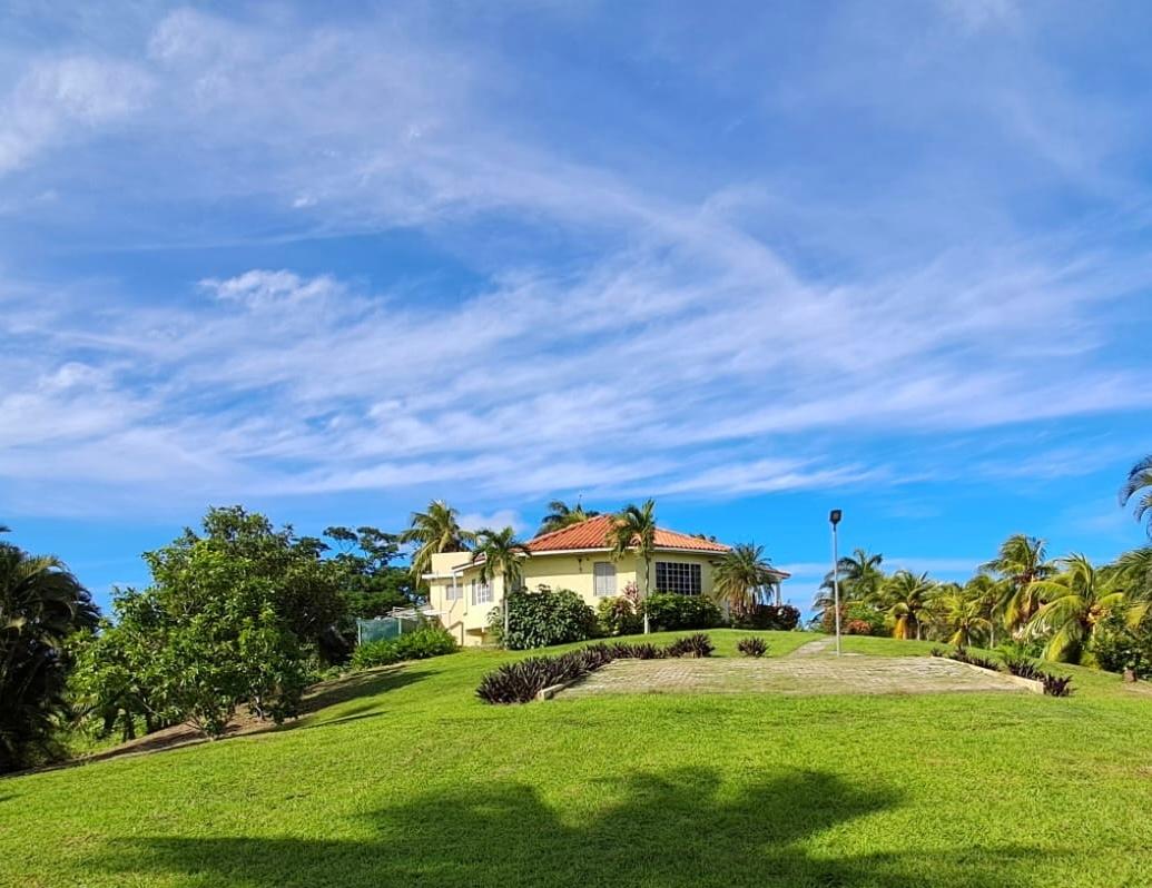 Second image of 1 Free Hill Rd,roslyn Pen in Free Hill, St. Mary, Jamaica - property is For Sale