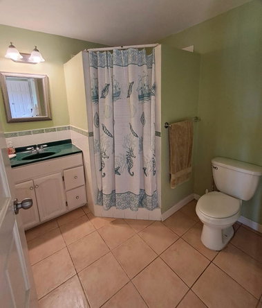 Fourteenth image of 1 Free Hill Rd,roslyn Pen in Free Hill, St. Mary, Jamaica - property is For Sale