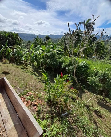Twentieth image of 1 Free Hill Rd,roslyn Pen in Free Hill, St. Mary, Jamaica - property is For Sale
