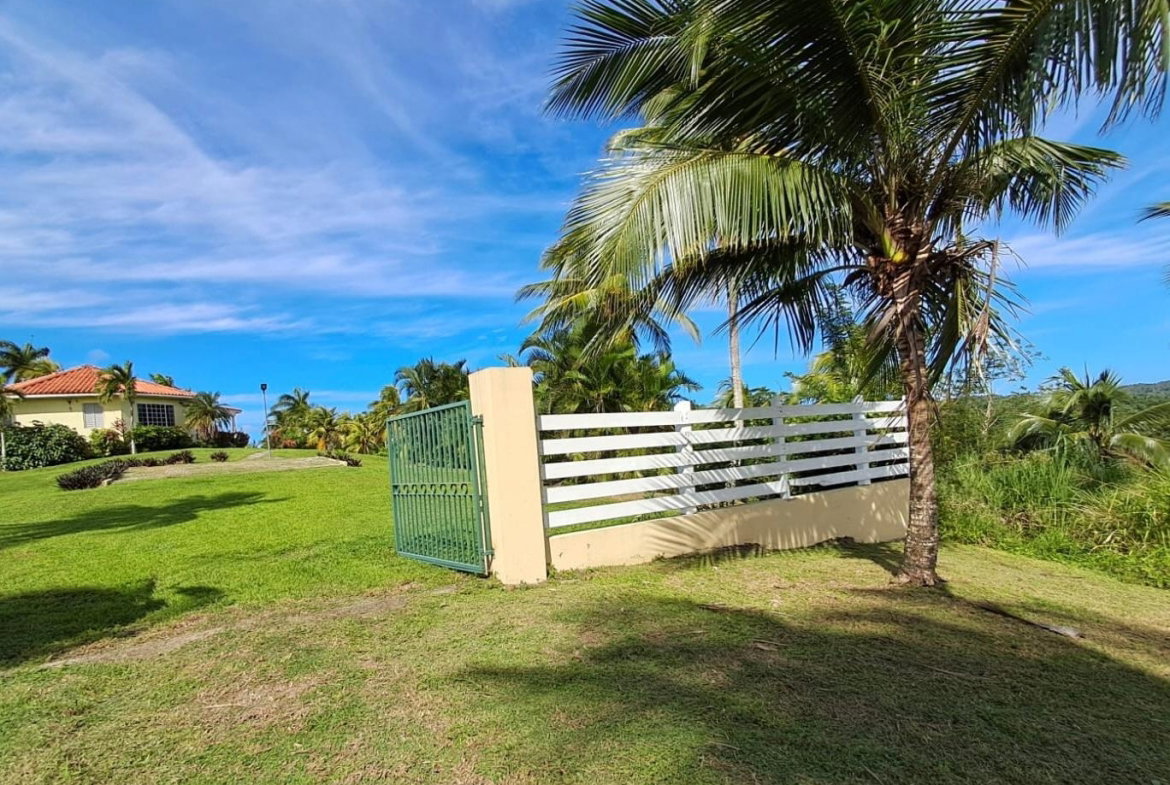 Twenty-First image of 1 Free Hill Rd,roslyn Pen in Free Hill, St. Mary, Jamaica - property is For Sale