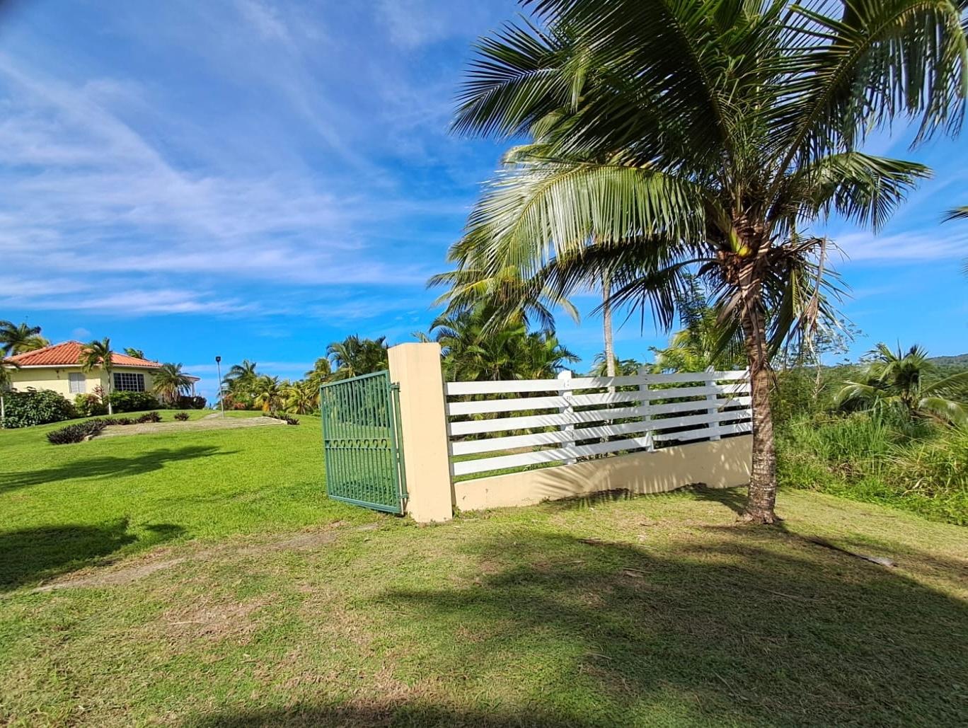 Twenty-First image of 1 Free Hill Rd,roslyn Pen in Free Hill, St. Mary, Jamaica - property is For Sale