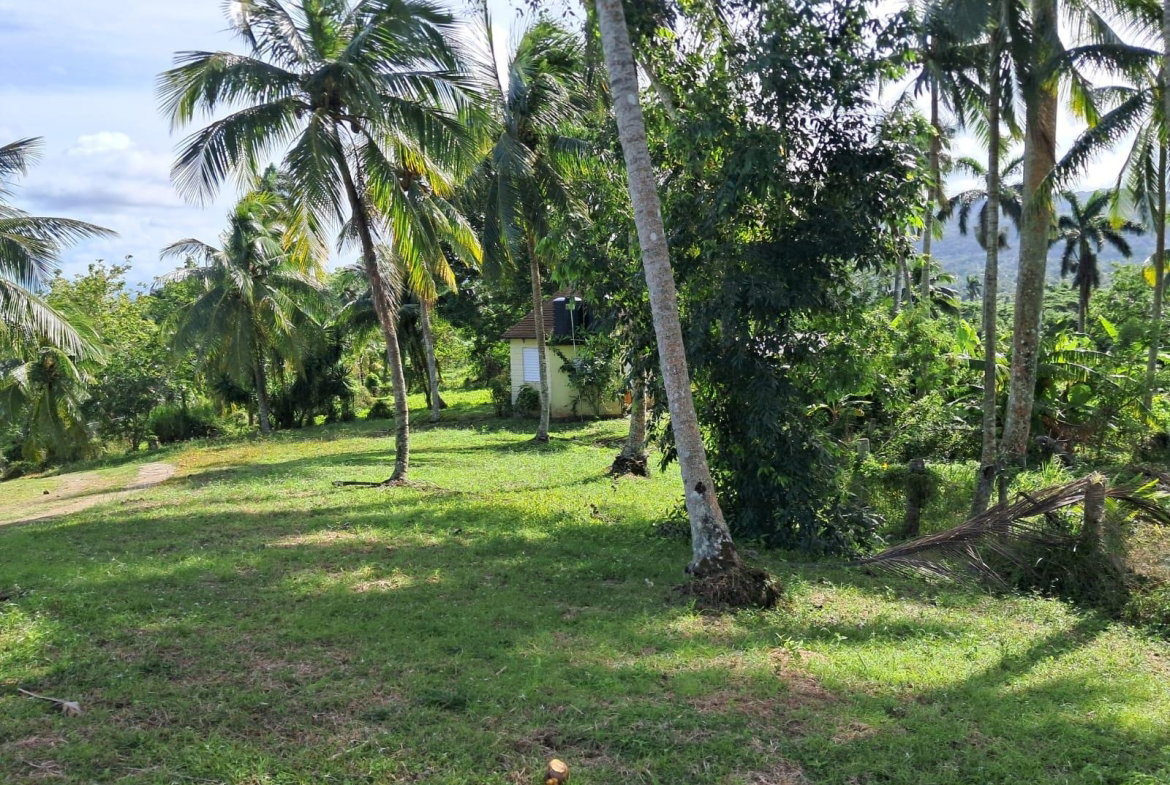 Twenty-Third image of 1 Free Hill Rd,roslyn Pen in Free Hill, St. Mary, Jamaica - property is For Sale