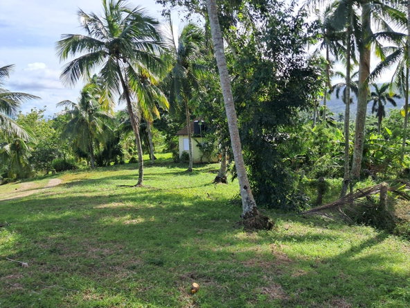 Twenty-Third image of 1 Free Hill Rd,roslyn Pen in Free Hill, St. Mary, Jamaica - property is For Sale