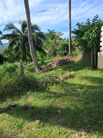 Twenty-Fifth image of 1 Free Hill Rd,roslyn Pen in Free Hill, St. Mary, Jamaica - property is For Sale