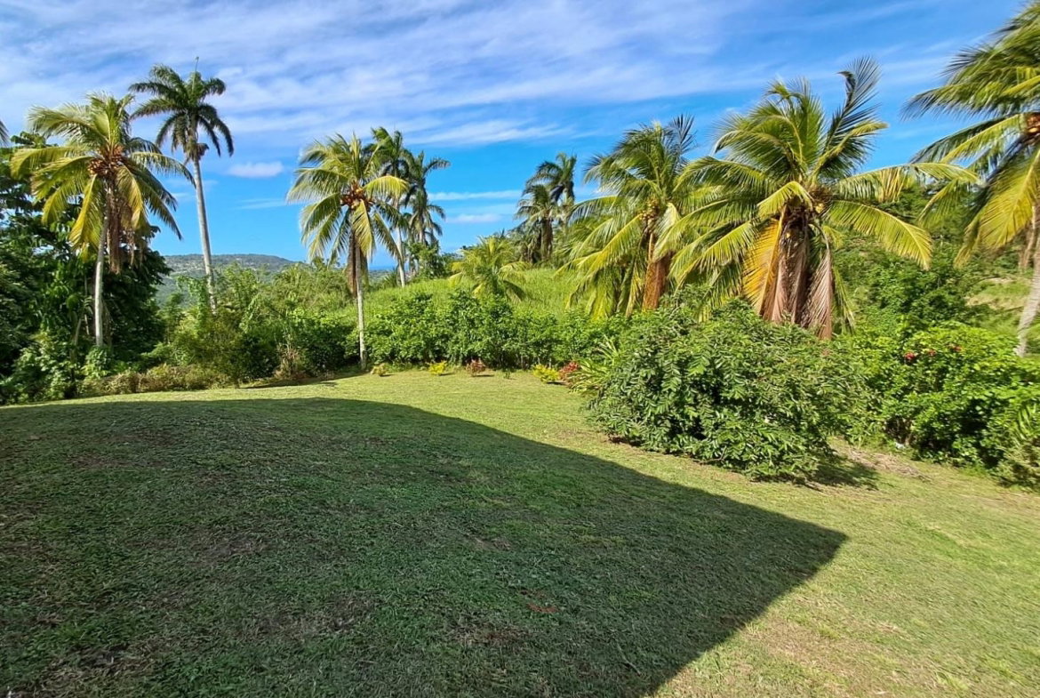 Twenty-Sixth image of 1 Free Hill Rd,roslyn Pen in Free Hill, St. Mary, Jamaica - property is For Sale