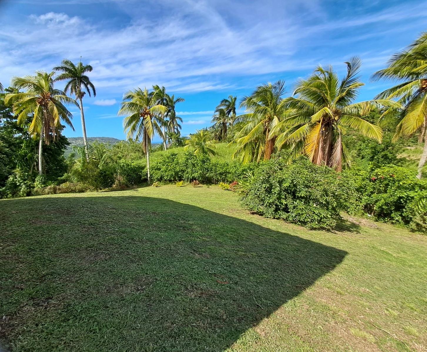 Twenty-Sixth image of 1 Free Hill Rd,roslyn Pen in Free Hill, St. Mary, Jamaica - property is For Sale