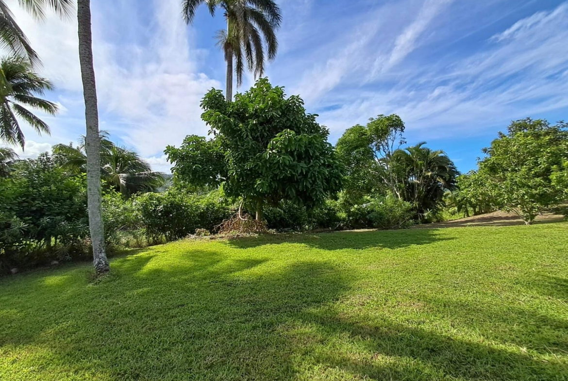 Twenty-Seventh image of 1 Free Hill Rd,roslyn Pen in Free Hill, St. Mary, Jamaica - property is For Sale