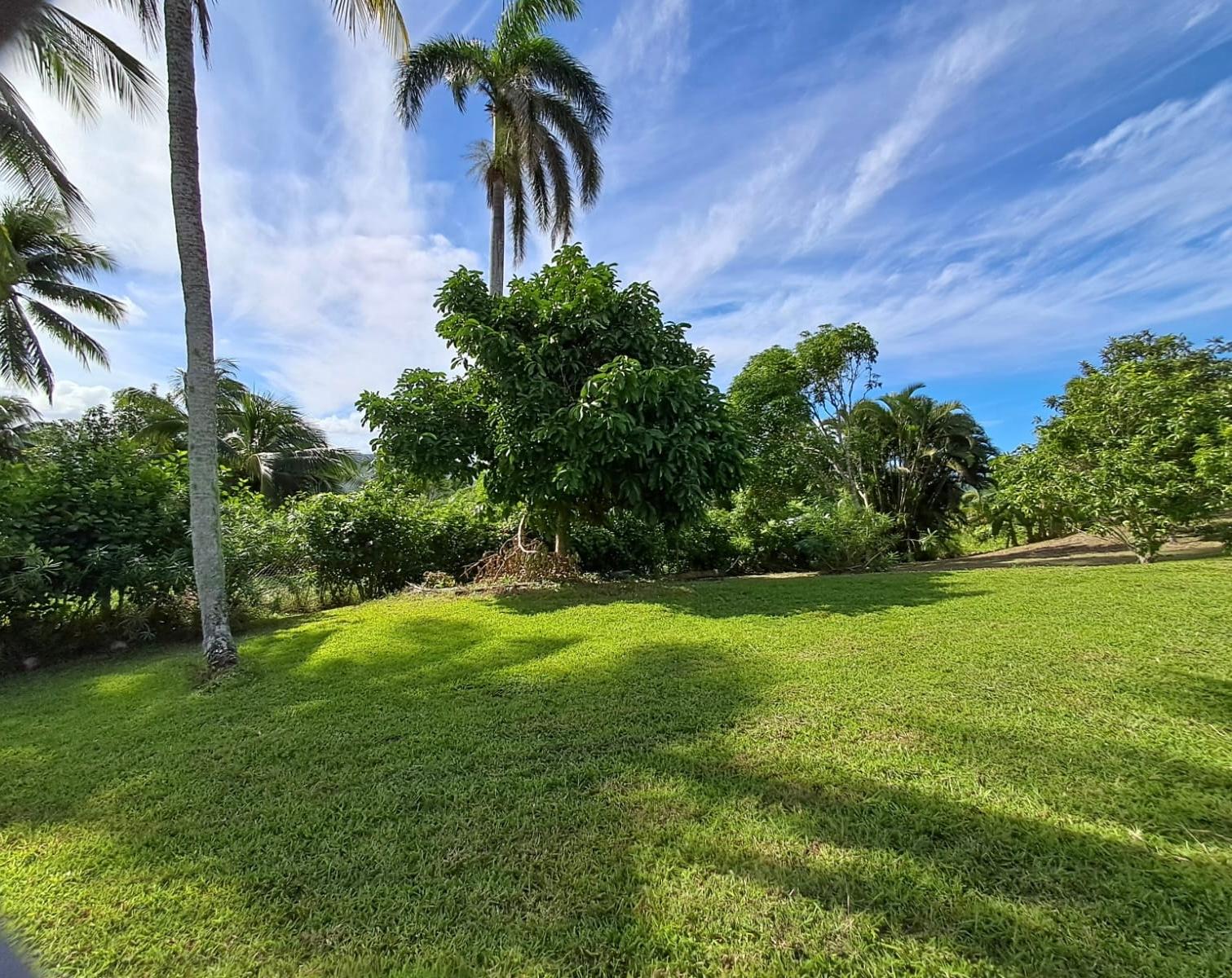 Twenty-Seventh image of 1 Free Hill Rd,roslyn Pen in Free Hill, St. Mary, Jamaica - property is For Sale