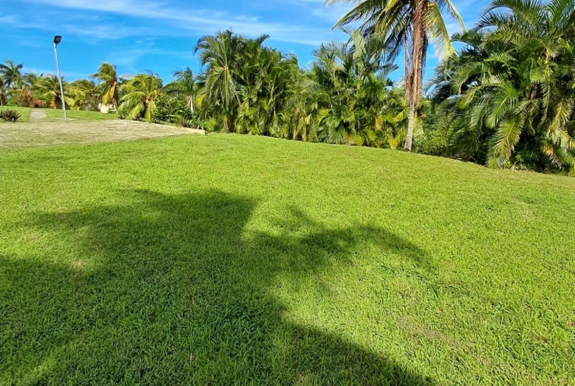 Twenty-Eighth image of 1 Free Hill Rd,roslyn Pen in Free Hill, St. Mary, Jamaica - property is For Sale