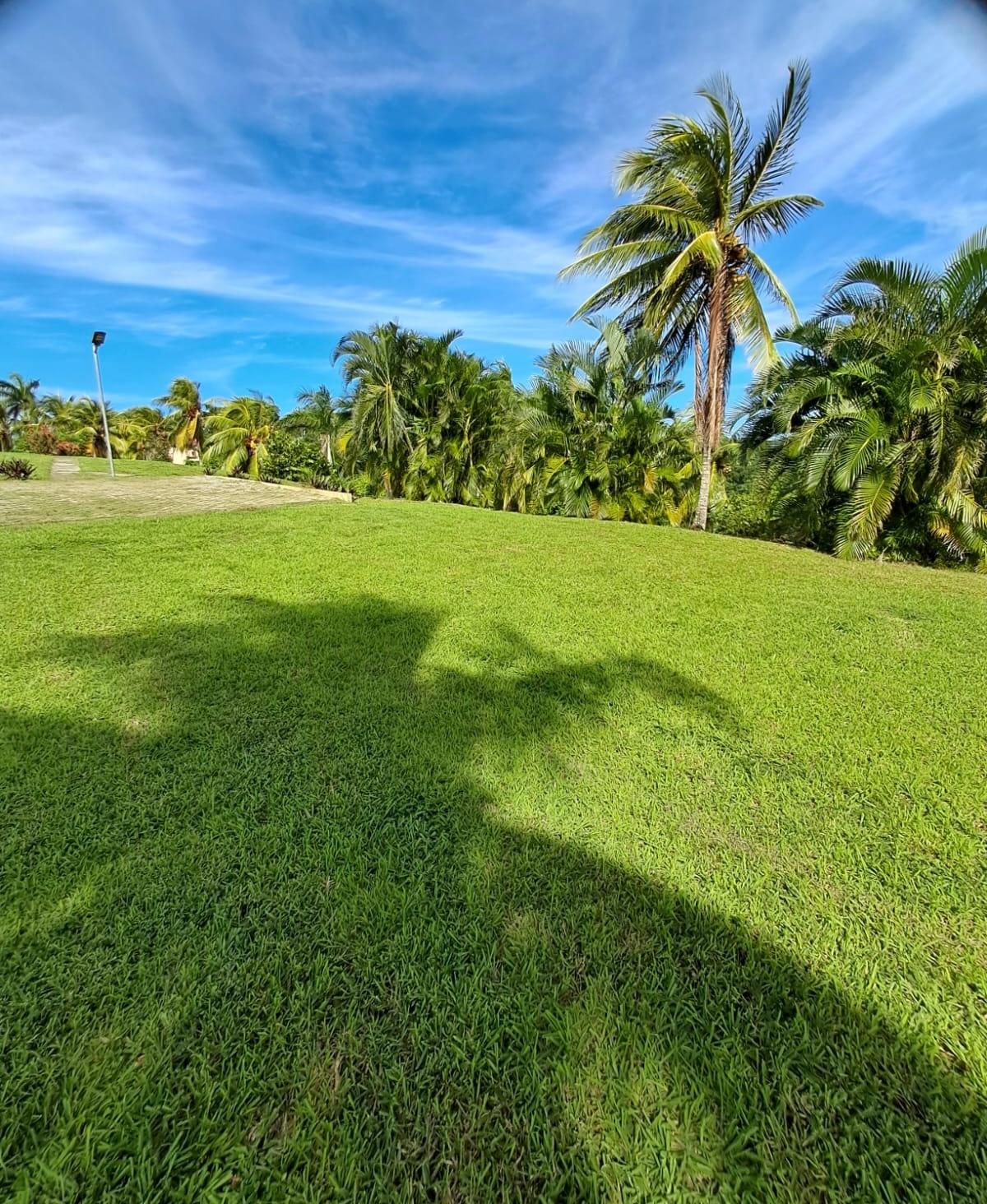 Twenty-Eighth image of 1 Free Hill Rd,roslyn Pen in Free Hill, St. Mary, Jamaica - property is For Sale