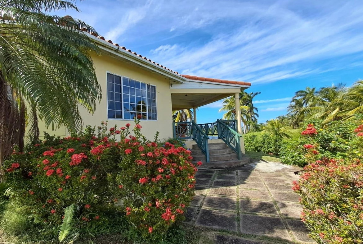 Fourth image of 1 Free Hill Rd,roslyn Pen in Free Hill, St. Mary, Jamaica - property is For Sale