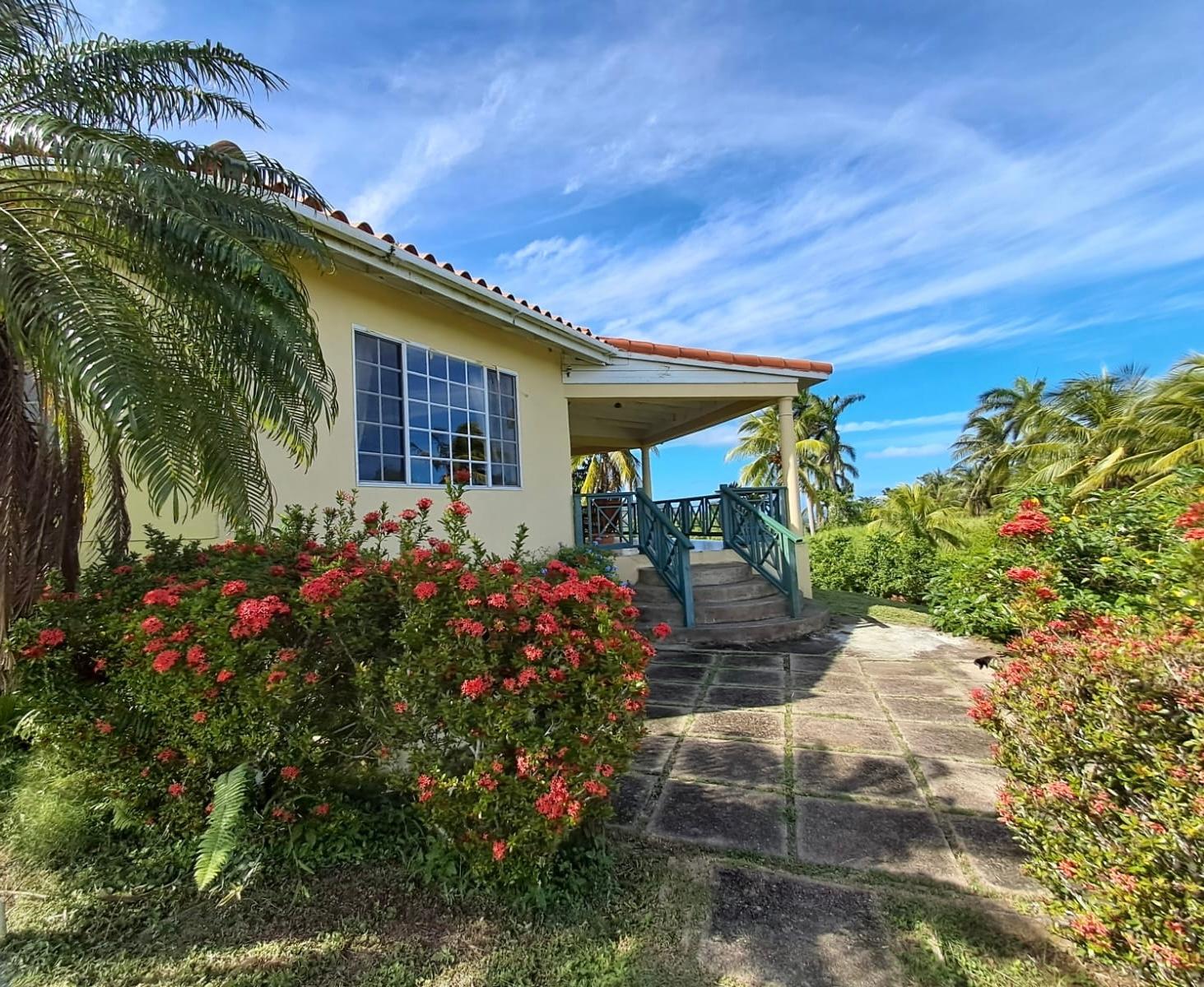 Fourth image of 1 Free Hill Rd,roslyn Pen in Free Hill, St. Mary, Jamaica - property is For Sale