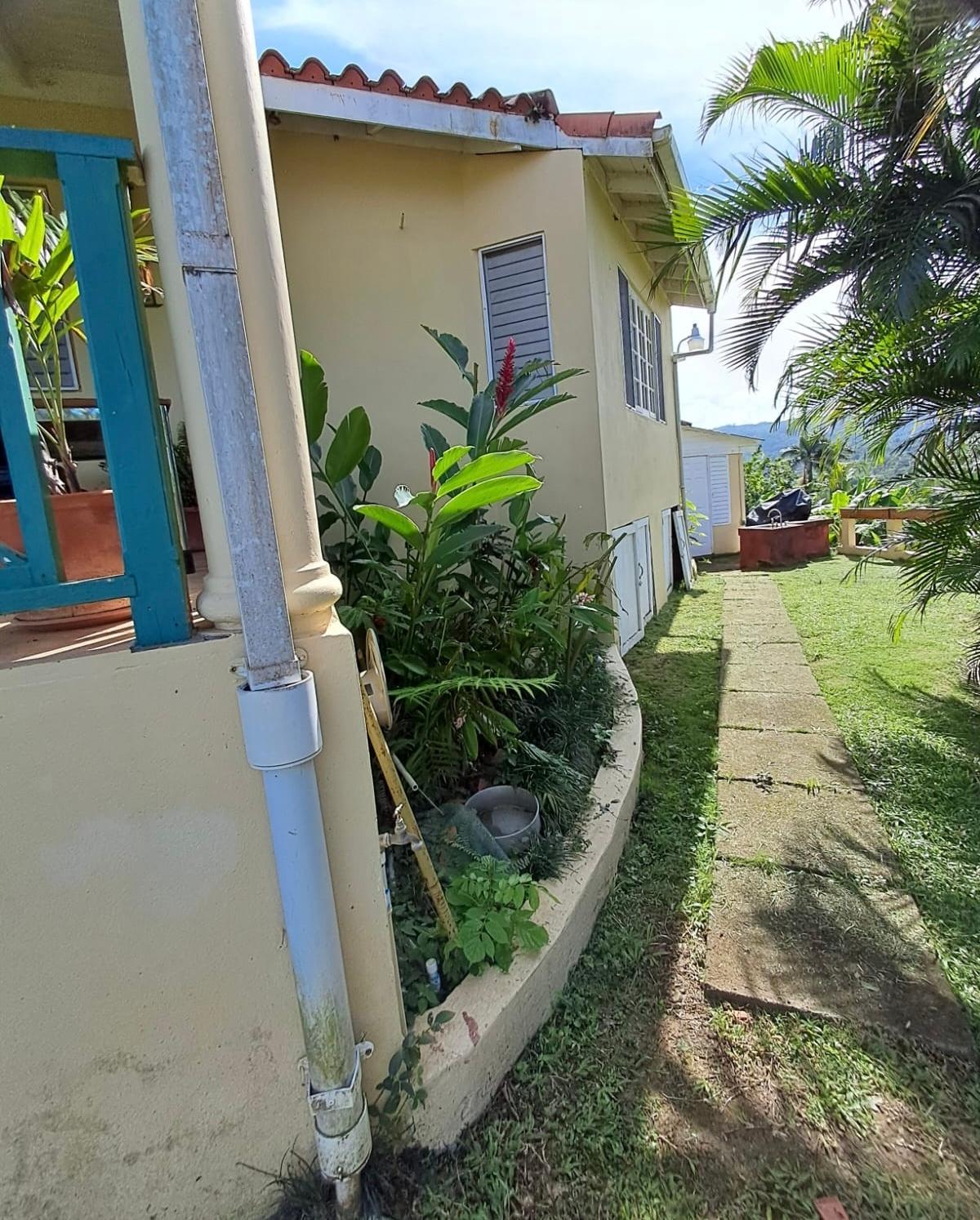 Sixth image of 1 Free Hill Rd,roslyn Pen in Free Hill, St. Mary, Jamaica - property is For Sale