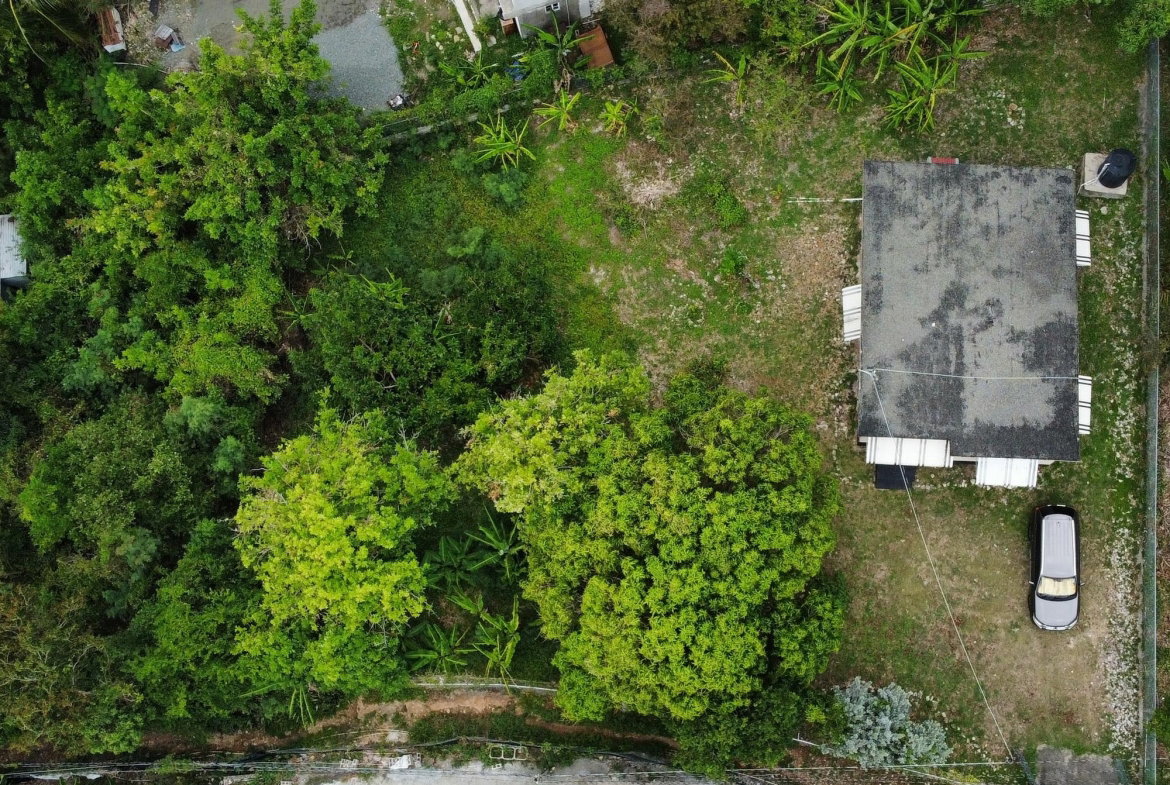 Twenty-Seventh image of White Horses in WHITE HORSES, St. Thomas, Jamaica - property is For Sale